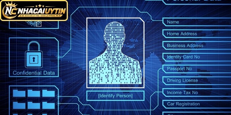 Quyền riêng tư và những quy tắc thu thập dữ liệu
